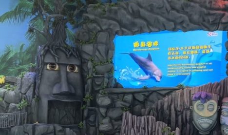 南行LED显示屏应用在大连海底世界案例